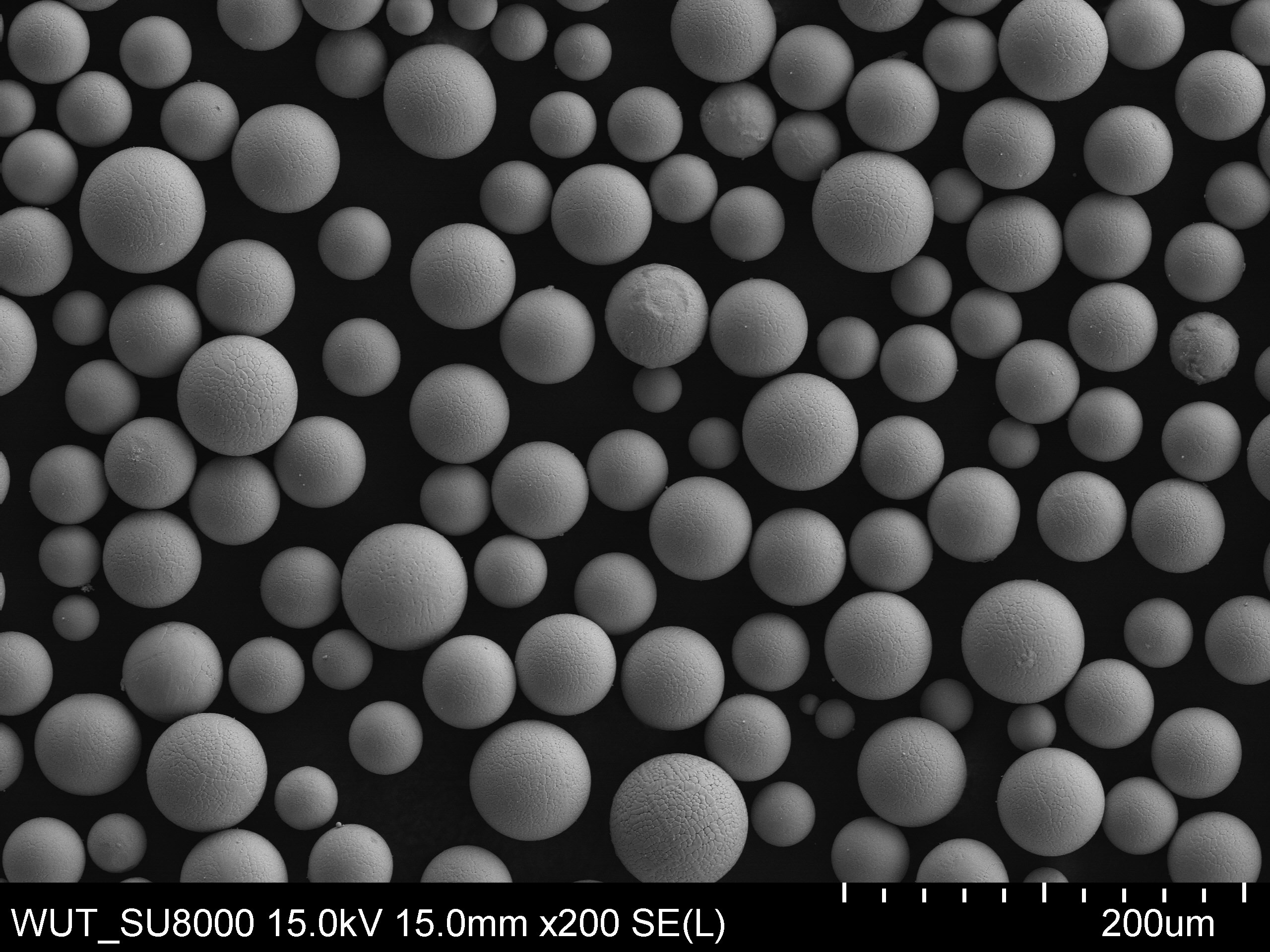 LMS.00147 ATZ.01182 C103_i009 x500